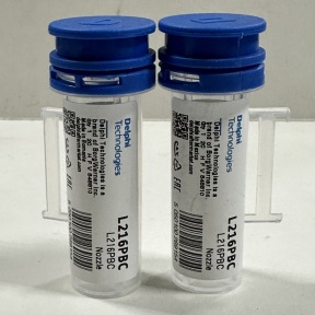 L216PBC Распылитель форсунки  Delphi BEBE4D08001 / BEBE4D16001 / BEBE4D24001 / 20584345 / 85000497