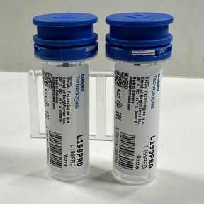 L199PRD  L199PBD Распылитель форсунки DELPHI  6650170321 , EJBRR04401D (ремкомплект 7135-618)